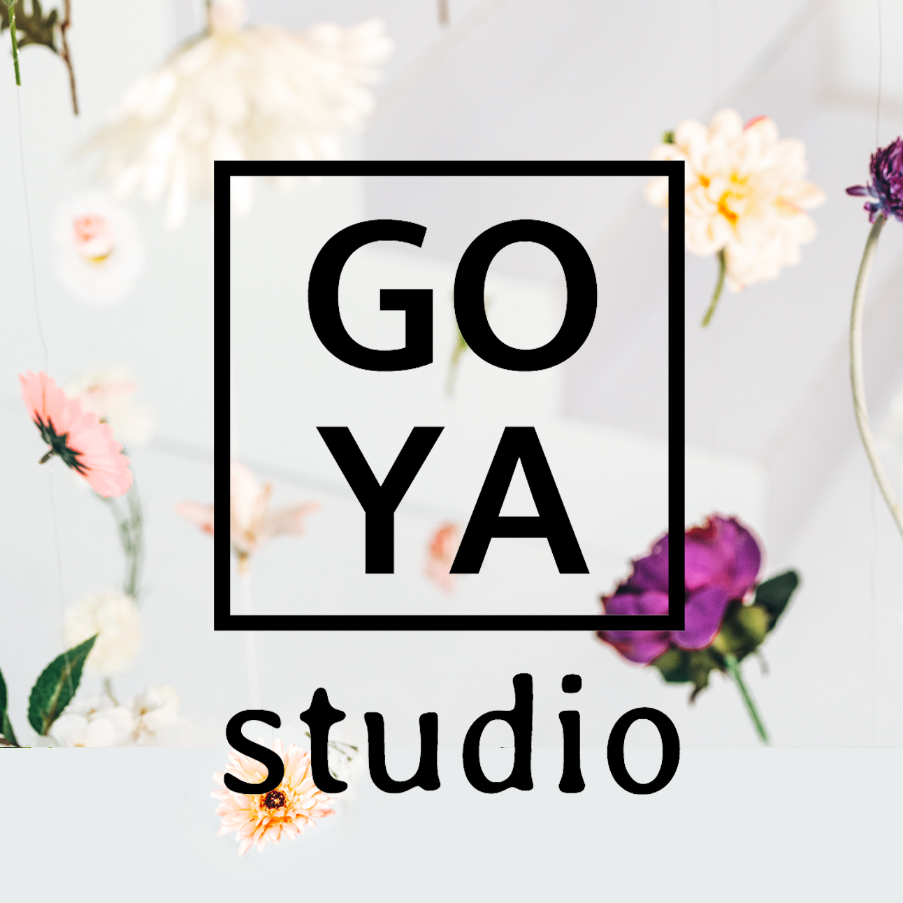Goya Studio