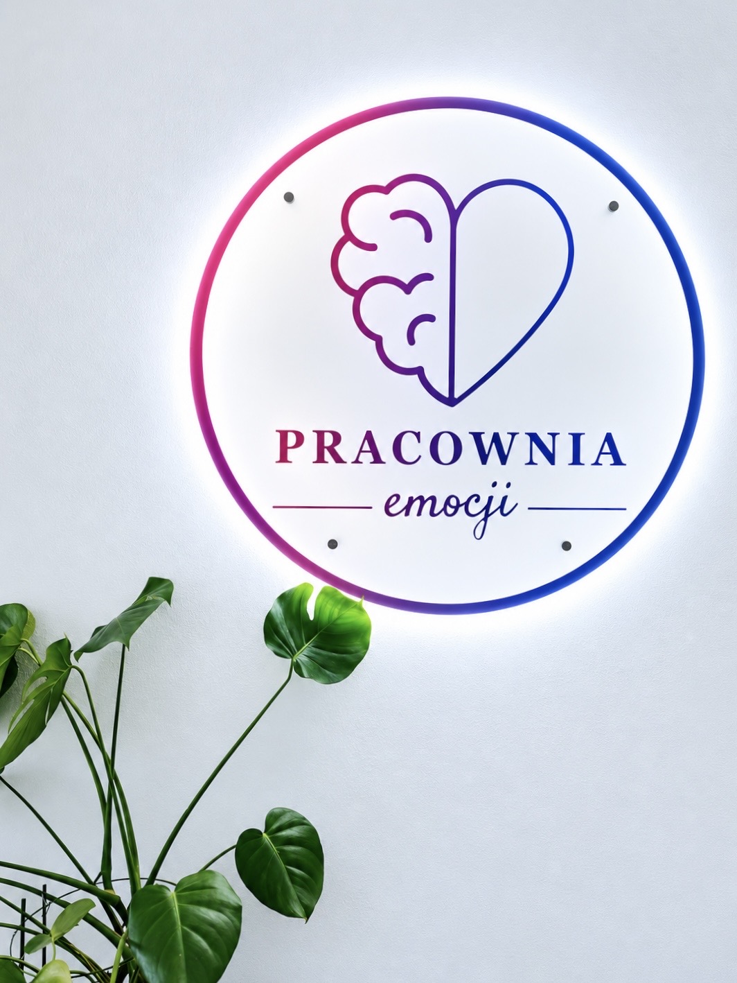 Czym się zajmujemy
